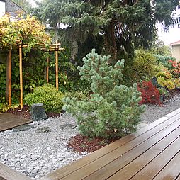 Beet im japanischen Garten