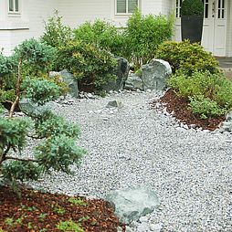 Ein Felsen-Arrangement im Hintergrund
