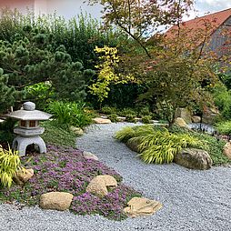 Granitlaterne und japanischer Ahorn zwischen Bodendeckern und Stauden im Japangarten