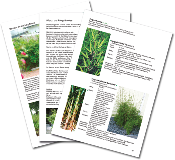 Seiten aus unserem Bambus-Fachkatalog Seiten aus unserem Bambus-Fachkatalog